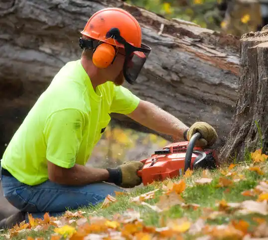 tree services Buckeye Lake